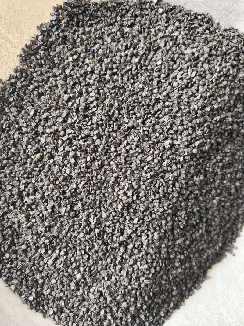 韭菜籽韭菜子祥泰药材栈中药材批发零售实物拍摄量多从优