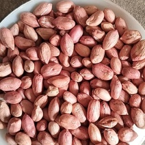 8筛上机打米精选海花花生米农户自产自销，