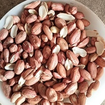 【精品】榨油米花生米合作社自产自销量大价优各种规格欢迎来