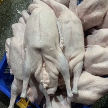 黑棕鹅