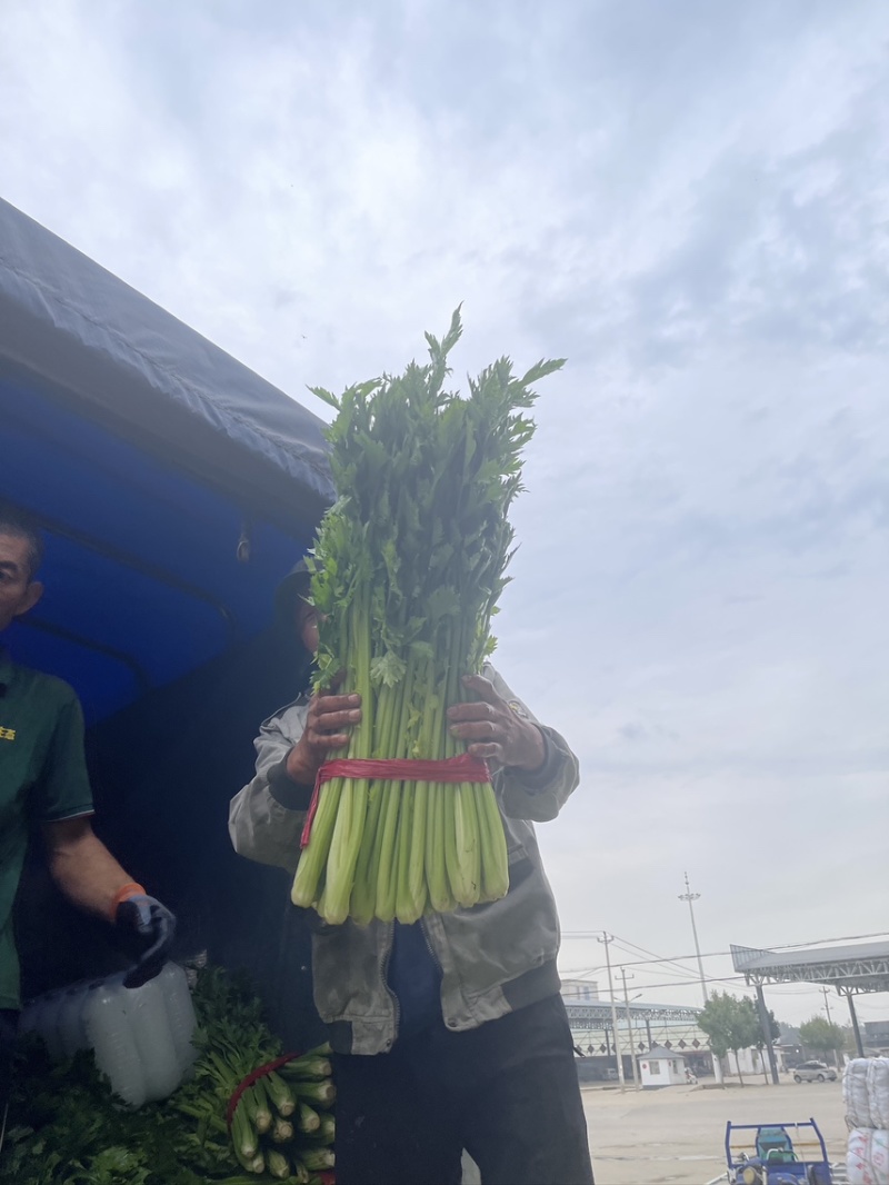 芹菜