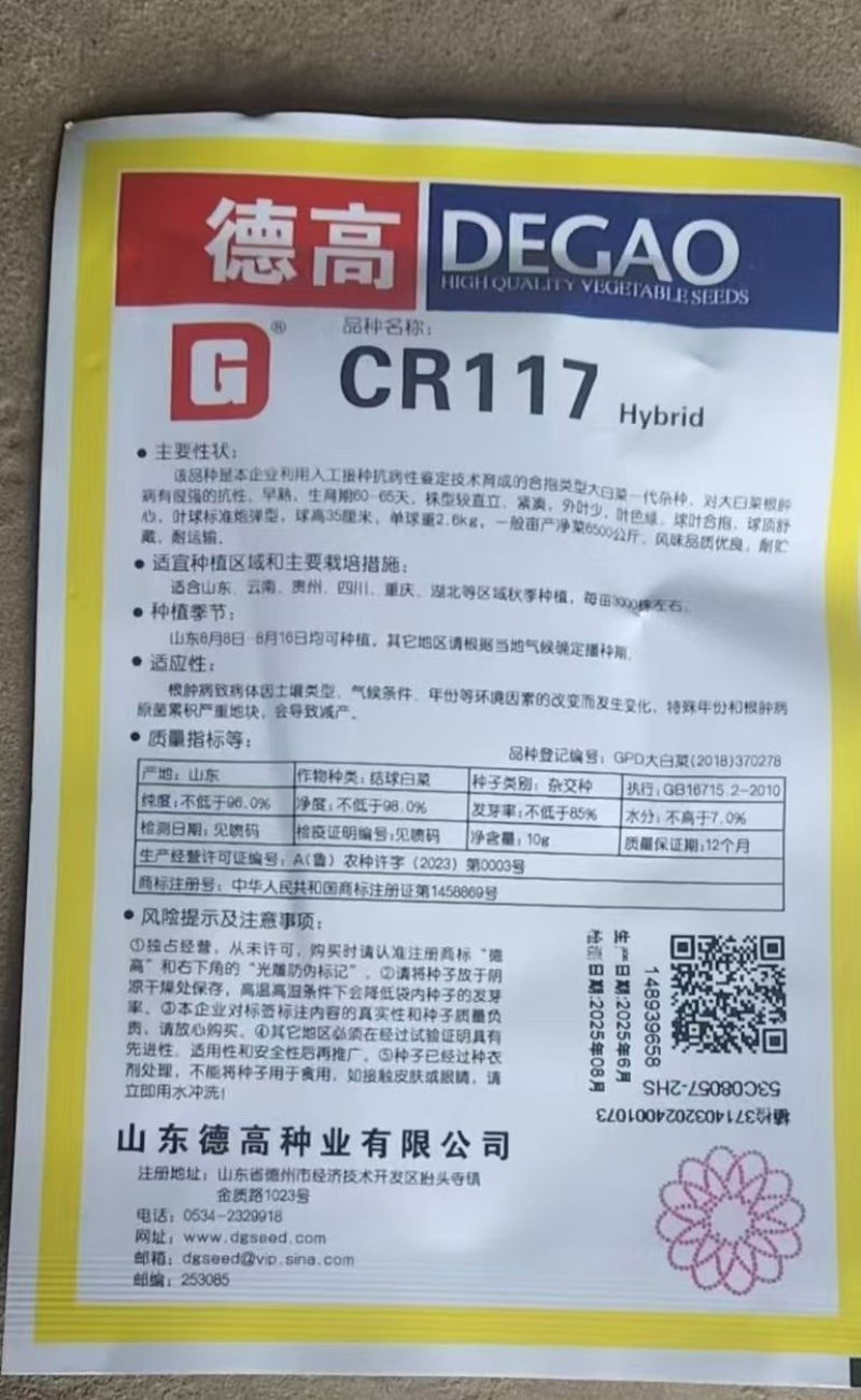 德高117白菜苗抗大根菜型好防烧心抗病性强现挖现