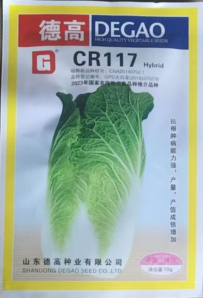 德高117白菜苗抗大根菜型好防烧心抗病性强现挖现