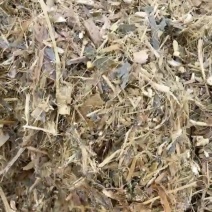 玉米秸秆青储饲料，大量供应货源充足，量大从优