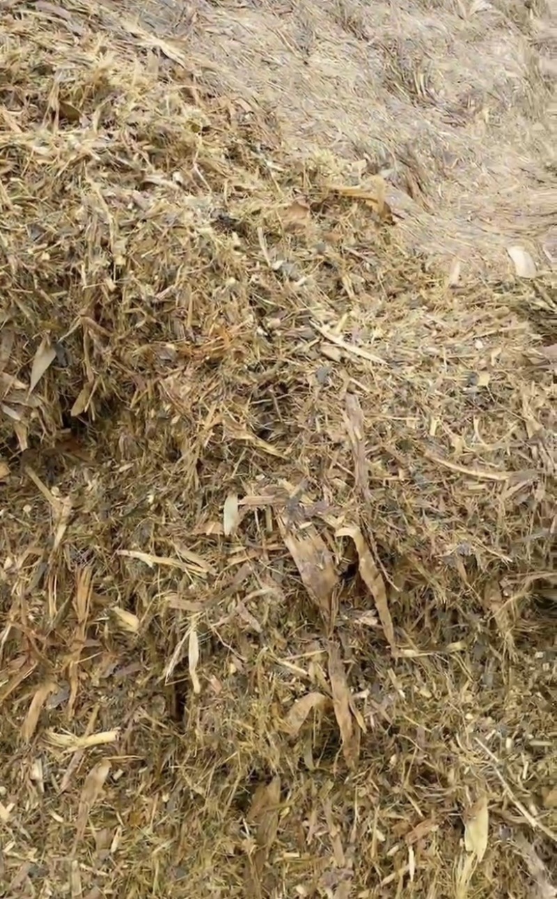 玉米秸秆青储饲料，大量供应货源充足，量大从优