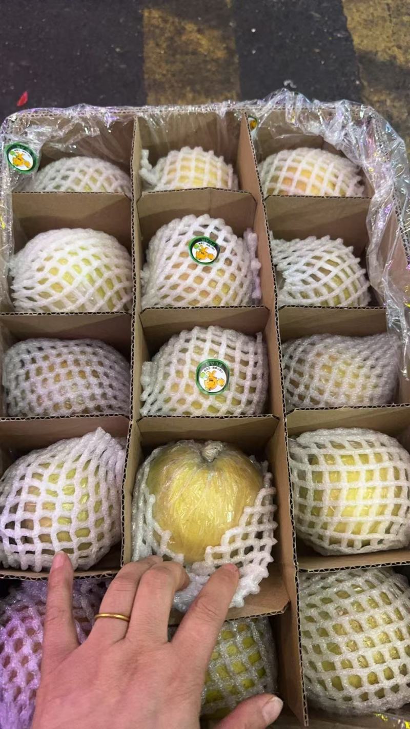 优质玉露香梨