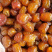蜜枣无核蜜枣干蜜枣厂家直销一手货源电商平台实体店赶集好品