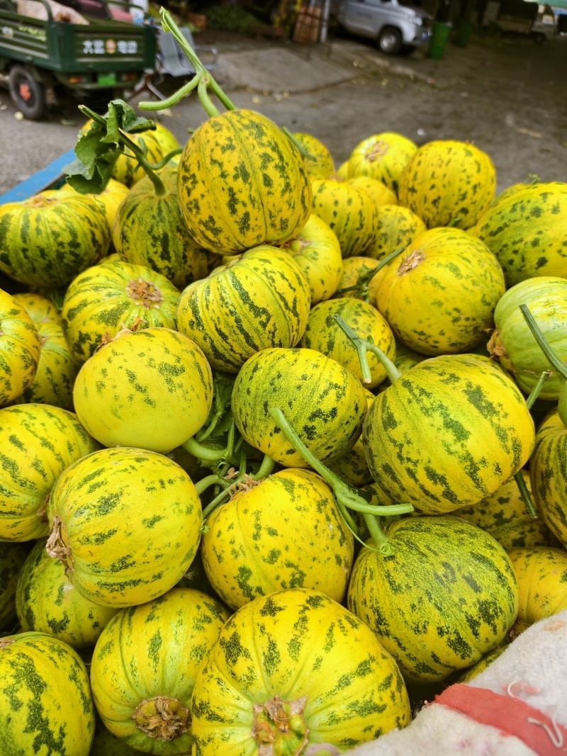 花美人花蜜人吉糖金兰大棚吊秧头茬口感脆甜货量充足价格稳定