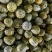 花美人花蜜人吉糖金兰大棚吊秧头茬口感脆甜货量充足价格稳定