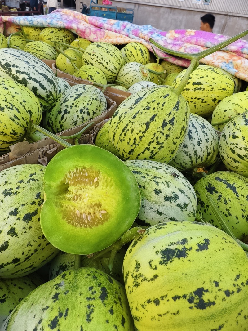 花美人花蜜人吉糖金兰大棚吊秧头茬口感脆甜货量充足价格稳定
