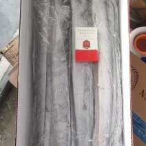 国产带鱼18-20，质量好，价格优，全国各地均可直达