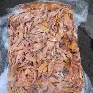 大鸭食带去腺胃头7吨