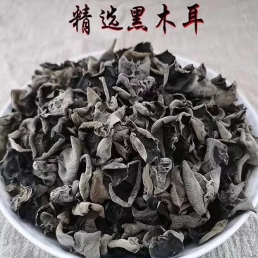 小兴安岭椴树黑木耳