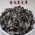 小兴安岭椴树黑木耳