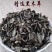 小兴安岭椴树黑木耳