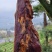 腊后腿肉传统小火慢熏，低盐不咸，传统的土家腊肉非速腊肉