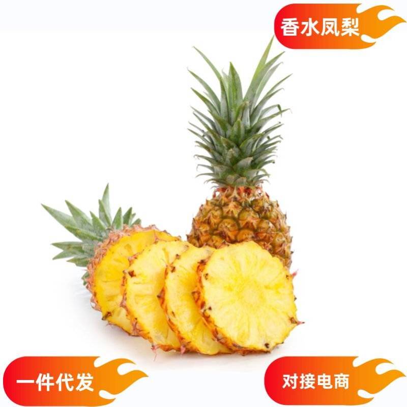 一件代发海南香水凤梨当季现摘现发供应电商各大平台非菠萝