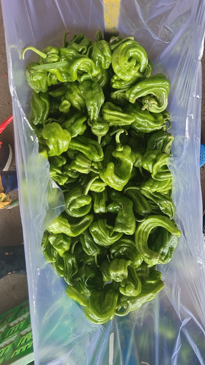 芜湖椒食堂货