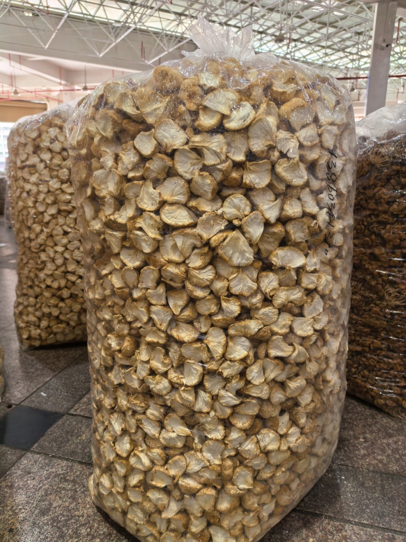 猴头菇大量现货厂地直销规格齐全天然无硫全国发货欢迎合作