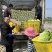 白菜万亩基地，全国代卖代，对接批发商超，货源稳定