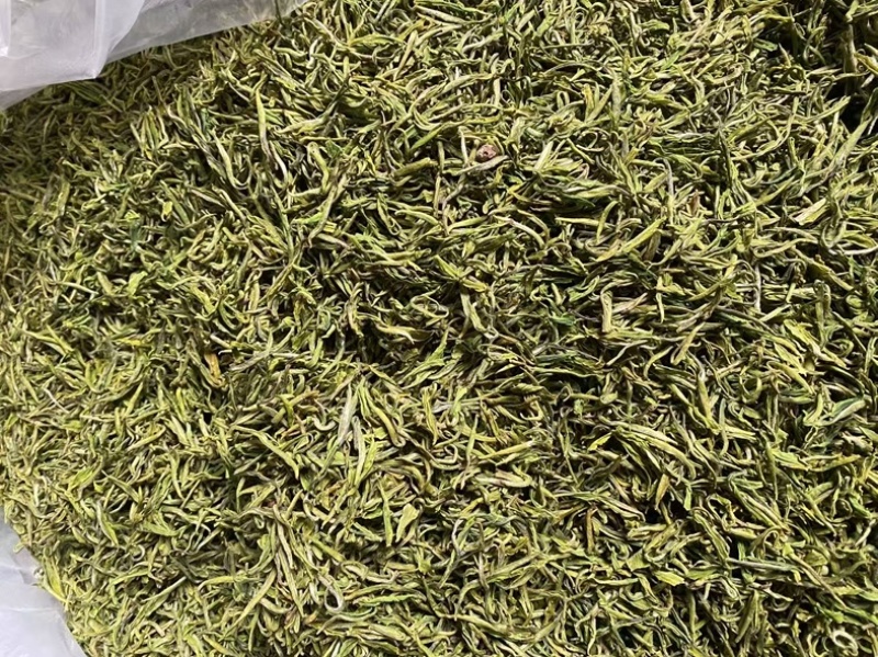 安吉白茶，高山白茶