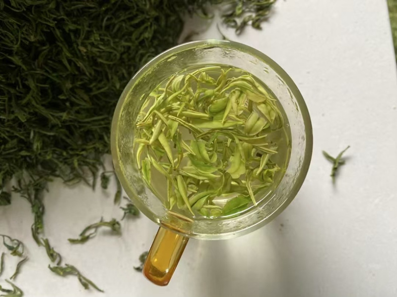 安吉白茶，高山白茶