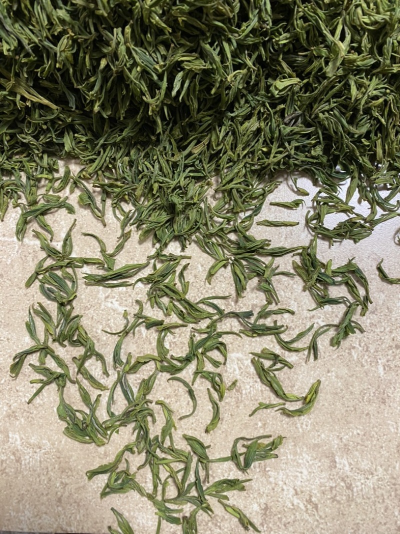安吉白茶，高山白茶