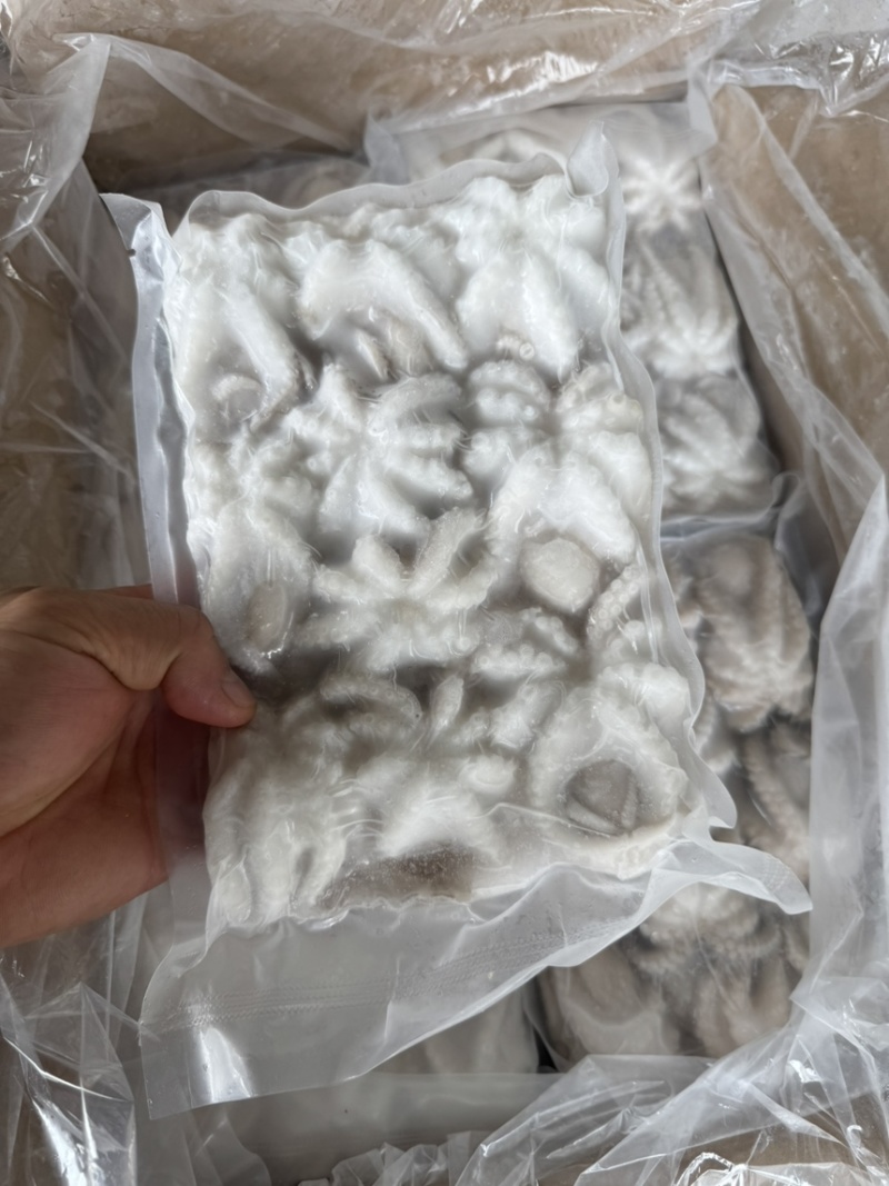 八爪鱼北部湾二去八爪口感好原汁原味爆头章鱼