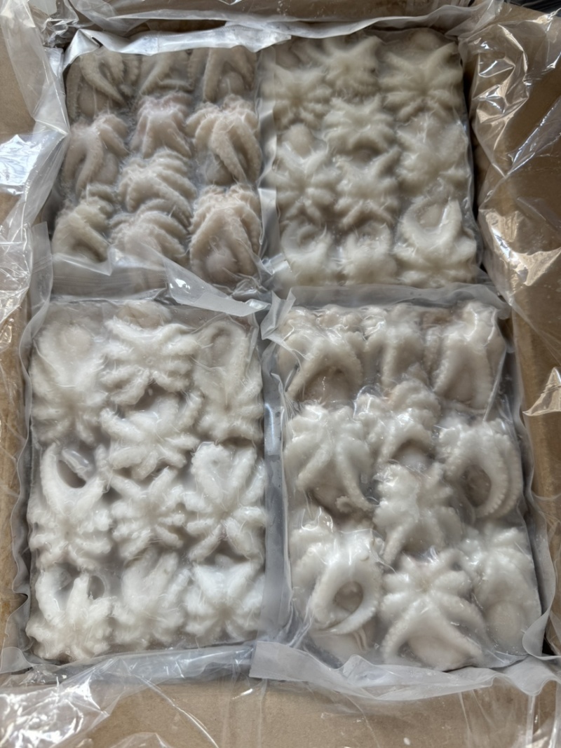 八爪鱼北部湾二去八爪口感好原汁原味爆头章鱼