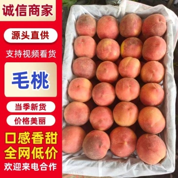 湖北随县毛桃大量上市，产地直发量大从优欢迎来电