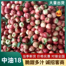 中油18号中油油桃，大量接单他产地直发，欢迎来电