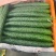 密刺黄瓜四川黄瓜品相好对接全国市场商超欢迎老板联系