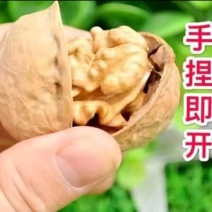 电商微商大卖产品新疆核桃厂家直供精美包装一件代发供应链