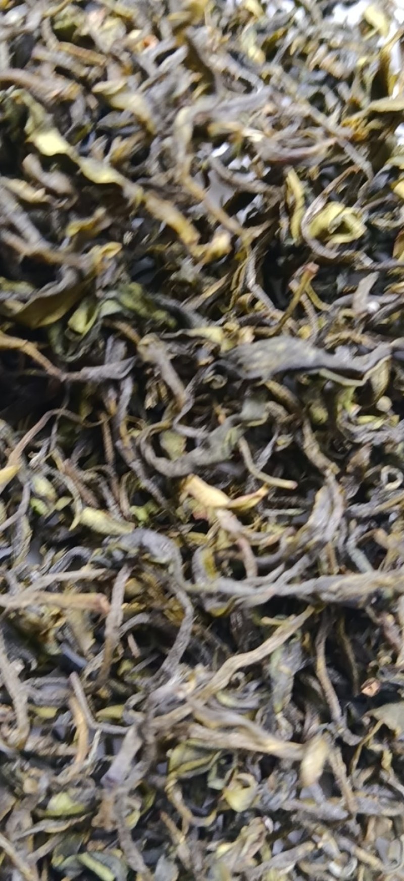 纯手工绿茶