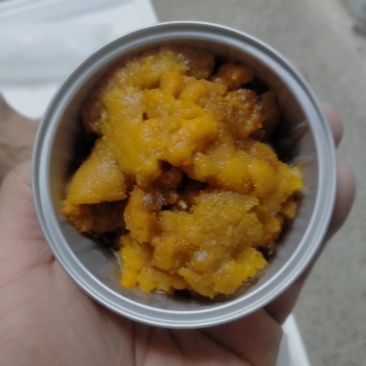 纯海胆肉