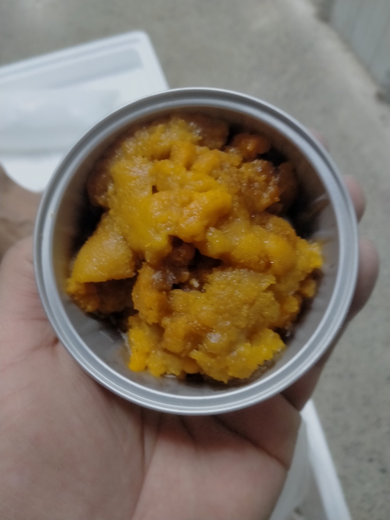 纯海胆肉