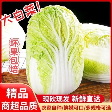 正宗黄心大白菜，物美价廉，口感丰富，产地直发