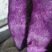 山药福建三明紫山药一手货源对接电商市场商超