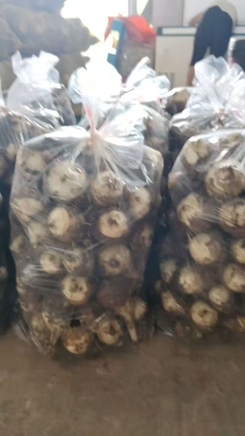芋头福建牛奶芋头大中小球通货电商，市场，商超全国发货