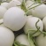 【推荐】精品玉菇甜瓜货源充足量大从优质量保证产地供应