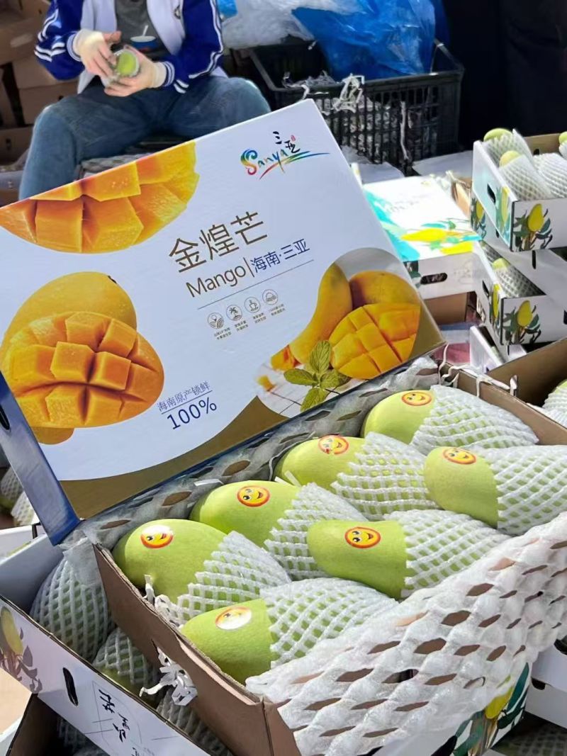 海南金煌芒产地直发货源充足可视频看货欢迎下单