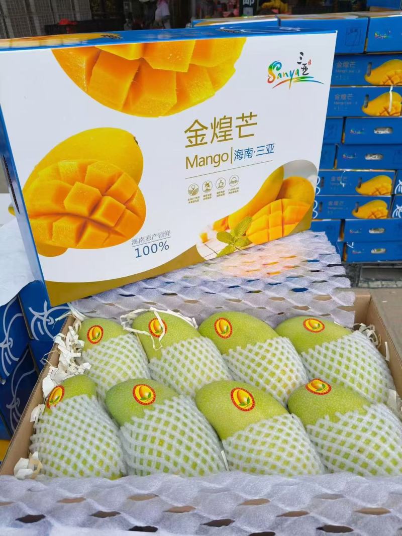 海南金煌芒产地直发货源充足可视频看货欢迎下单