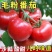 西红柿