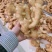 精品小黄姜新品上市自家种植品质好价格优惠对接商超档口