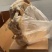 【熟牛肚】纯干牛肚带金钱肚8成熟