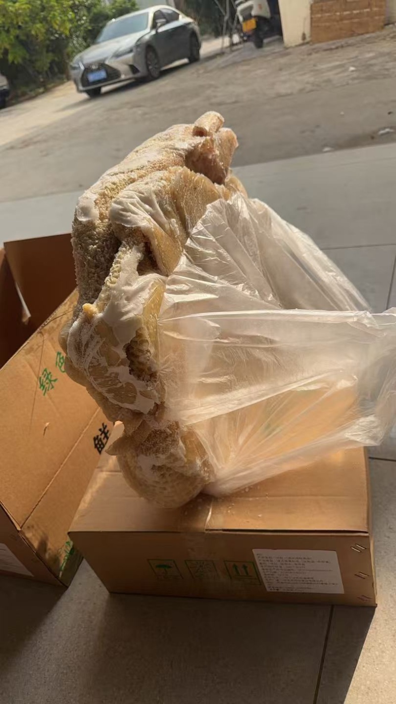 纯干牛肚带金钱肚8成熟