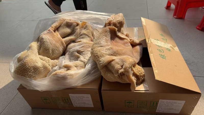 纯干牛肚带金钱肚8成熟