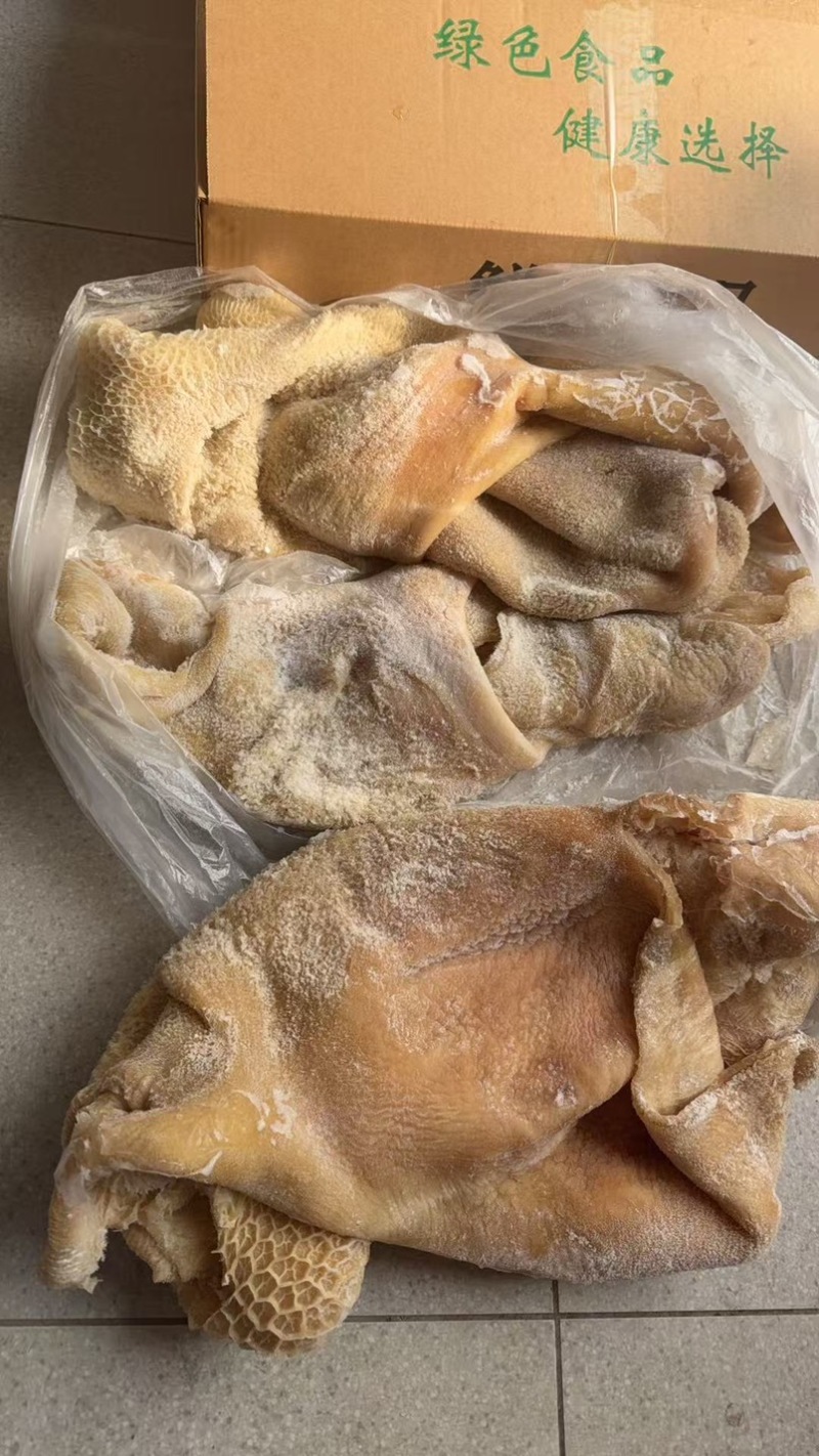 纯干牛肚带金钱肚8成熟