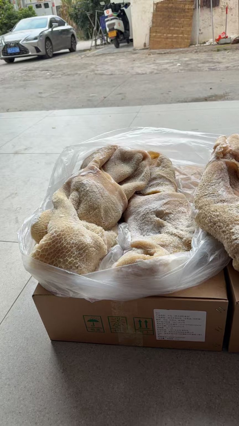 纯干牛肚带金钱肚8成熟