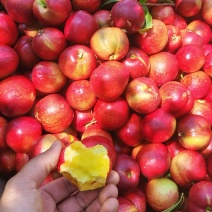 油桃🍑